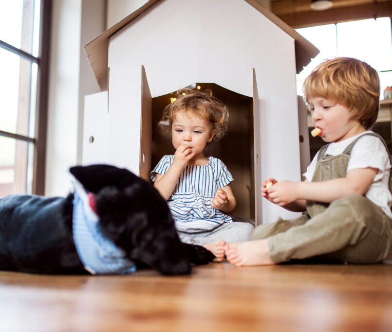 Kid & Pet Friendly Flooring