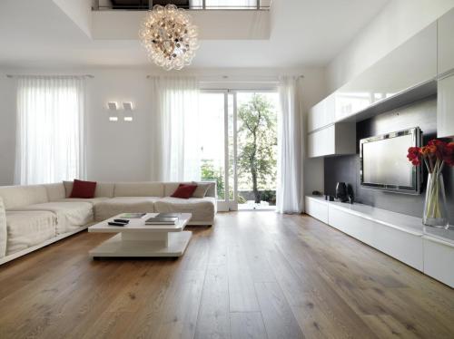 Modern living room with wood floor