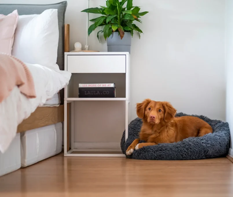 Hard Surface Floor Protection Tips